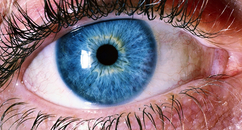 retinal detachment adult pediatric eyecare local eye doctor near you